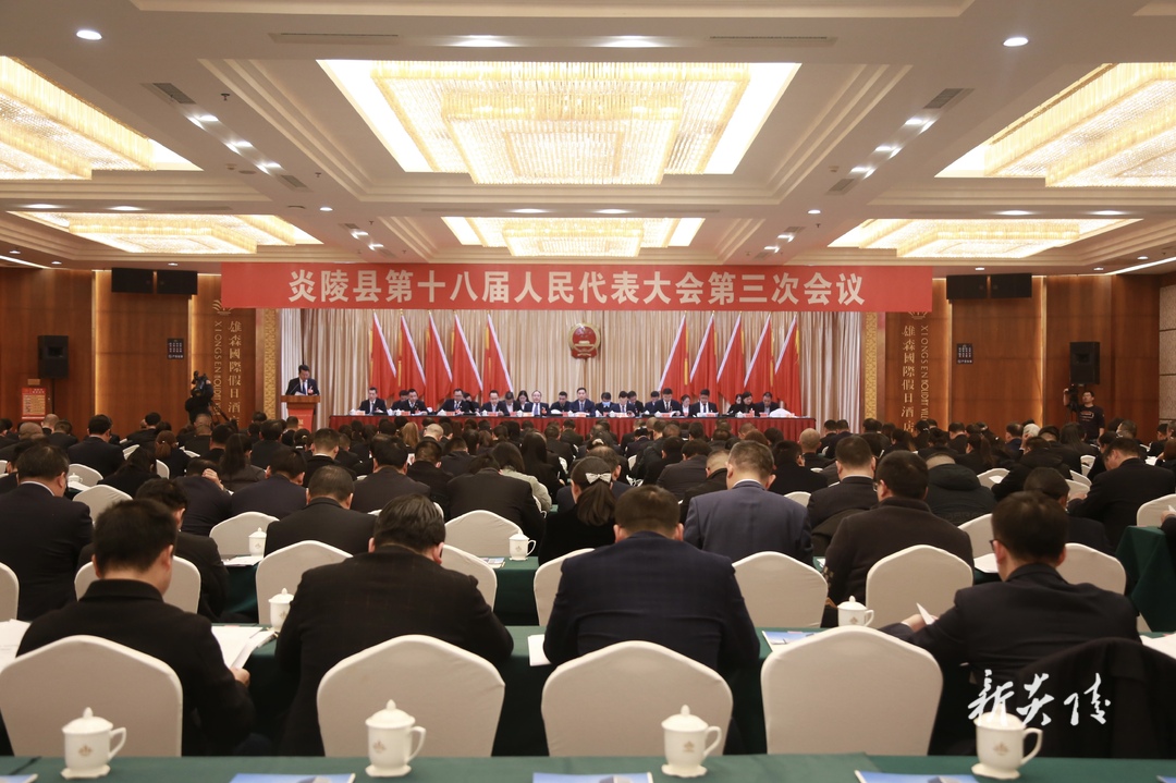 图文|炎陵县第十八届人民代表大会第三次会议召开预备会议和党员会议