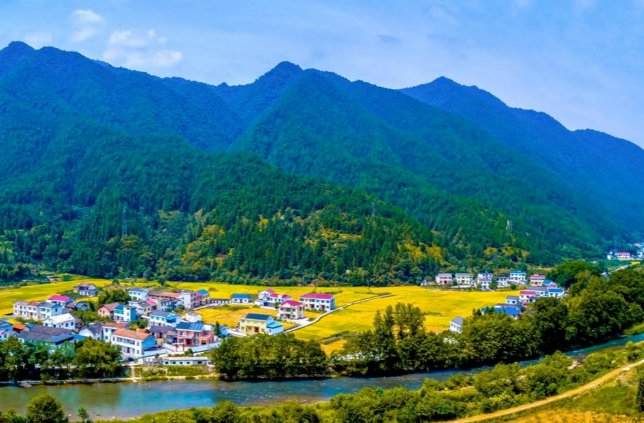2023年中央一号文件公布，提出做好2023年全面推进乡村振兴重点工作