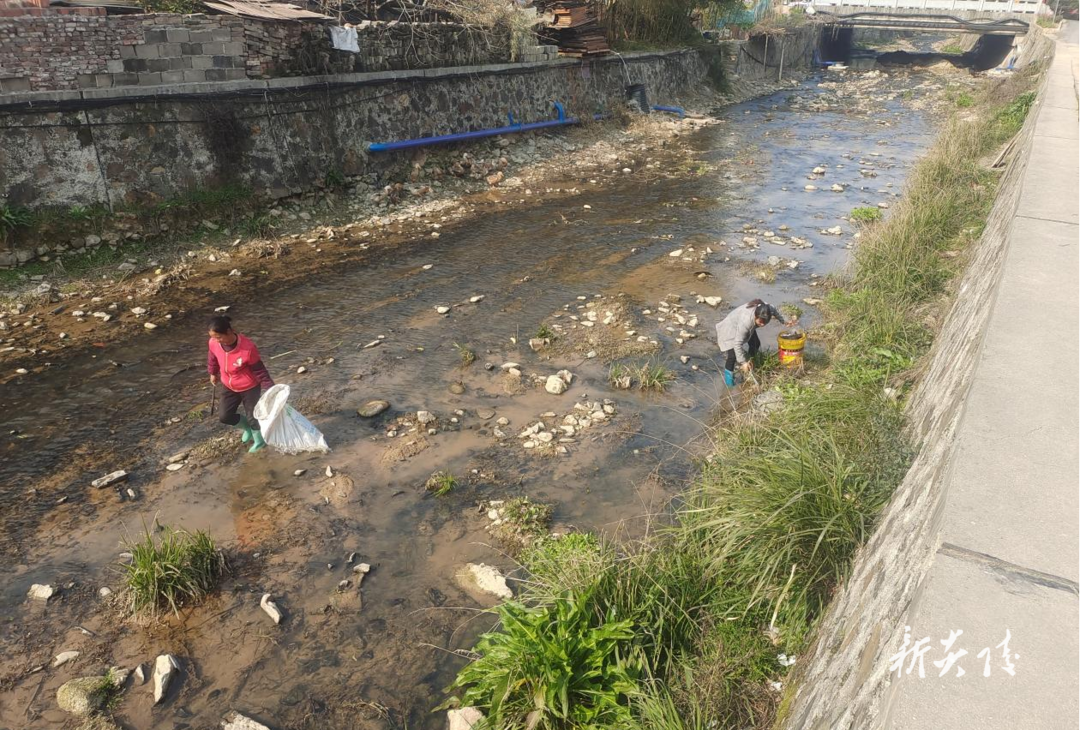 霞阳、沔渡、鹿原等乡镇开展河湖清洁志愿行动