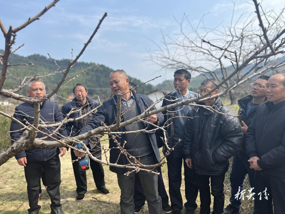 策源乡、垄溪乡等乡镇开展农村党员冬春训