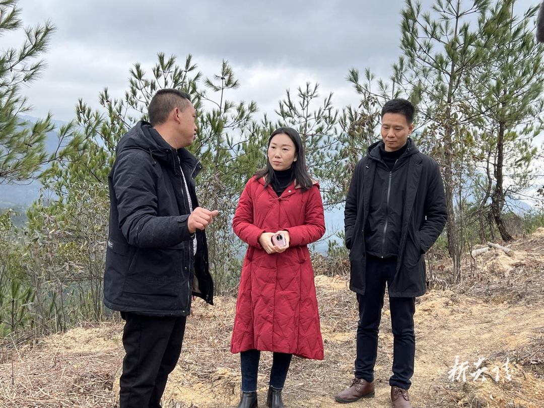 持续优化营商环境  深入推进“项目攻坚年”