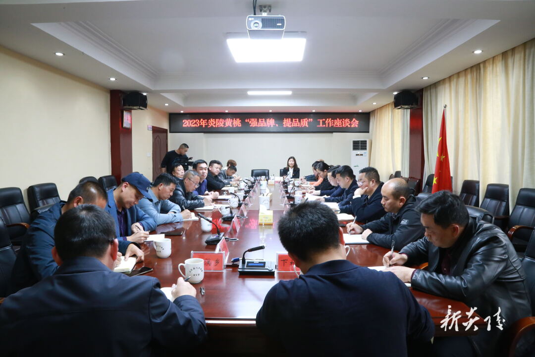 图文|炎陵黄桃“强品牌、提品质”工作座谈会召开 夏胜利出席并讲话