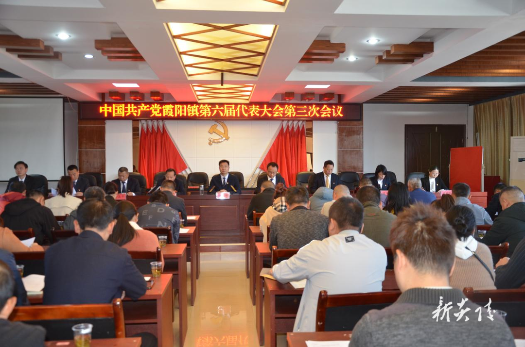 炎陵县各乡镇召开党代会年会
