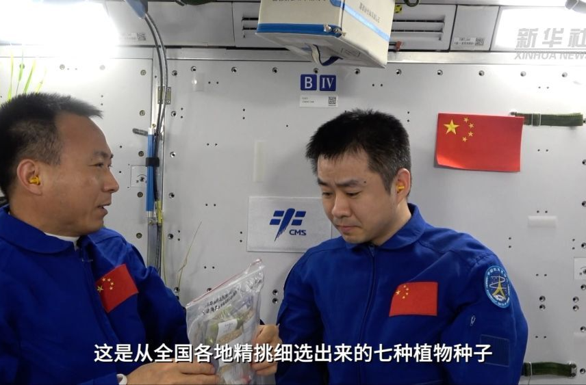 杂交稻种太空行