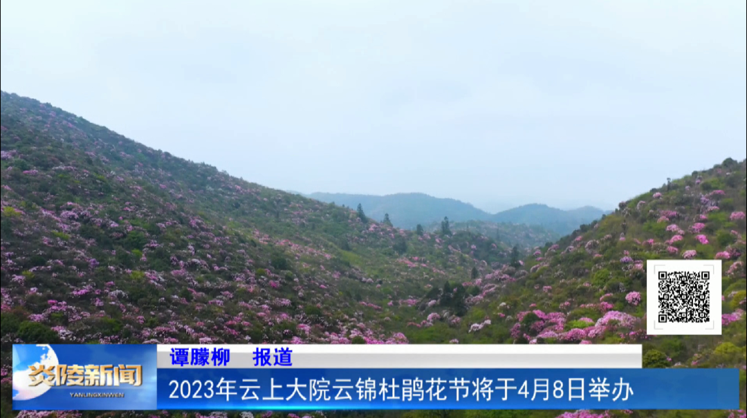2023年云上大院云锦杜鹃花节将于4月8日举办