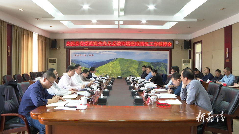图文|炎陵县召开省委巡视交办及反馈问题整改情况工作调度会