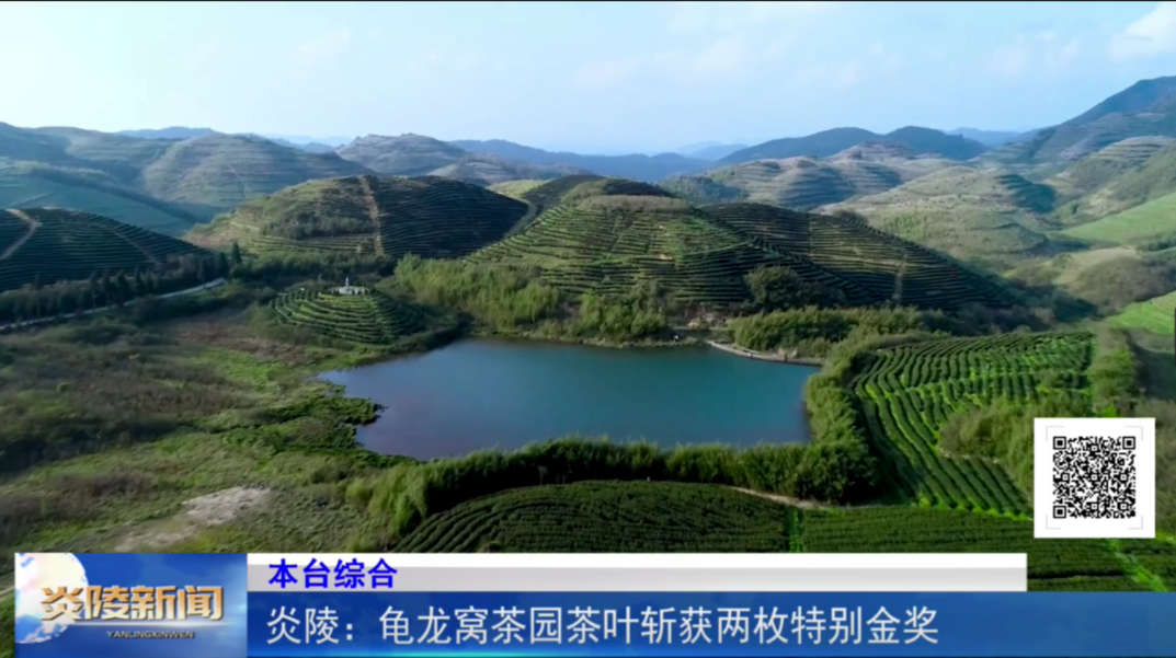 炎陵：龟龙窝茶园茶叶斩获两枚特别金奖