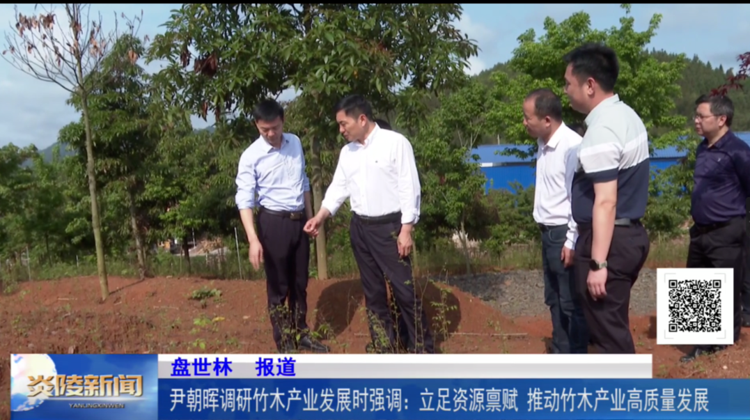 尹朝晖调研竹木产业发展时强调：立足资源禀赋 推动竹木产业高质量发展