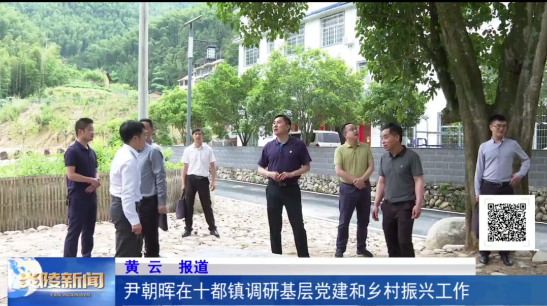尹朝晖在十都镇调研基层党建和乡村振兴工作