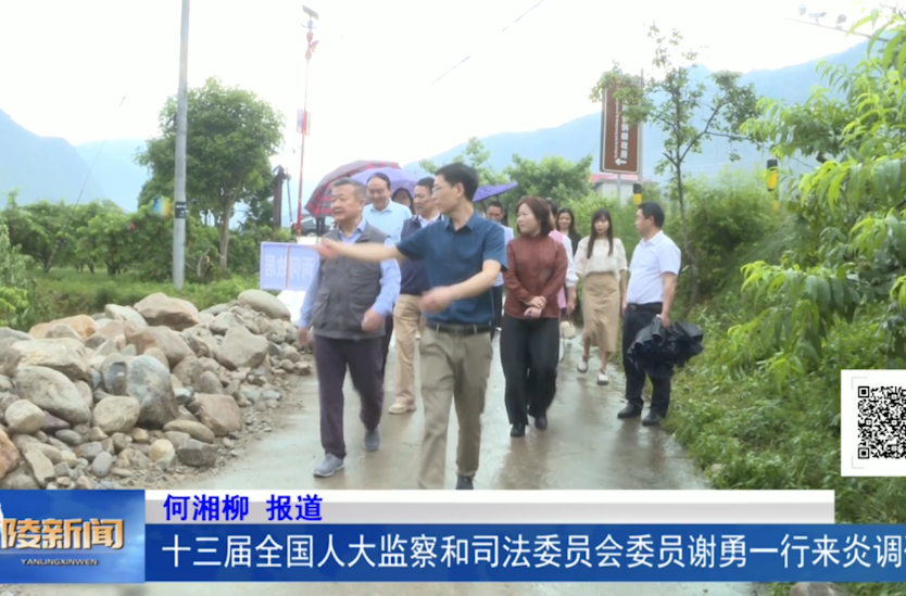 十三届全国人大监察和司法委员会委员谢勇一行来炎调研