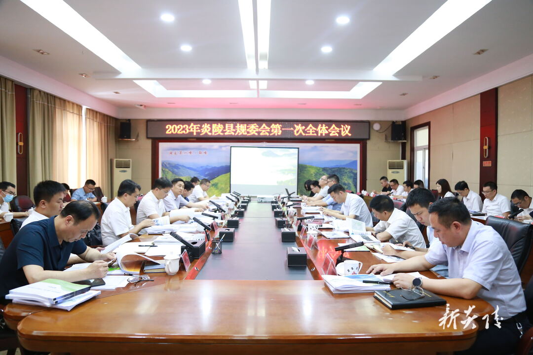 图文|2023年炎陵县规委会第一次全体会议召开