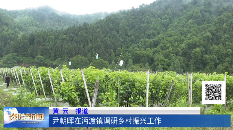 尹朝晖在沔渡镇调研乡村振兴工作
