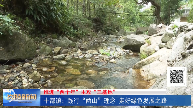 十都镇：践行“两山”理念 走好绿色发展之路