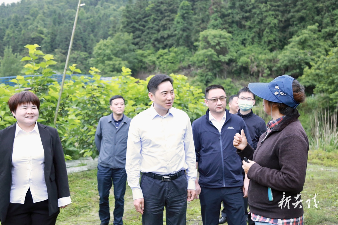 图文|尹朝晖在沔渡镇调研乡村振兴工作