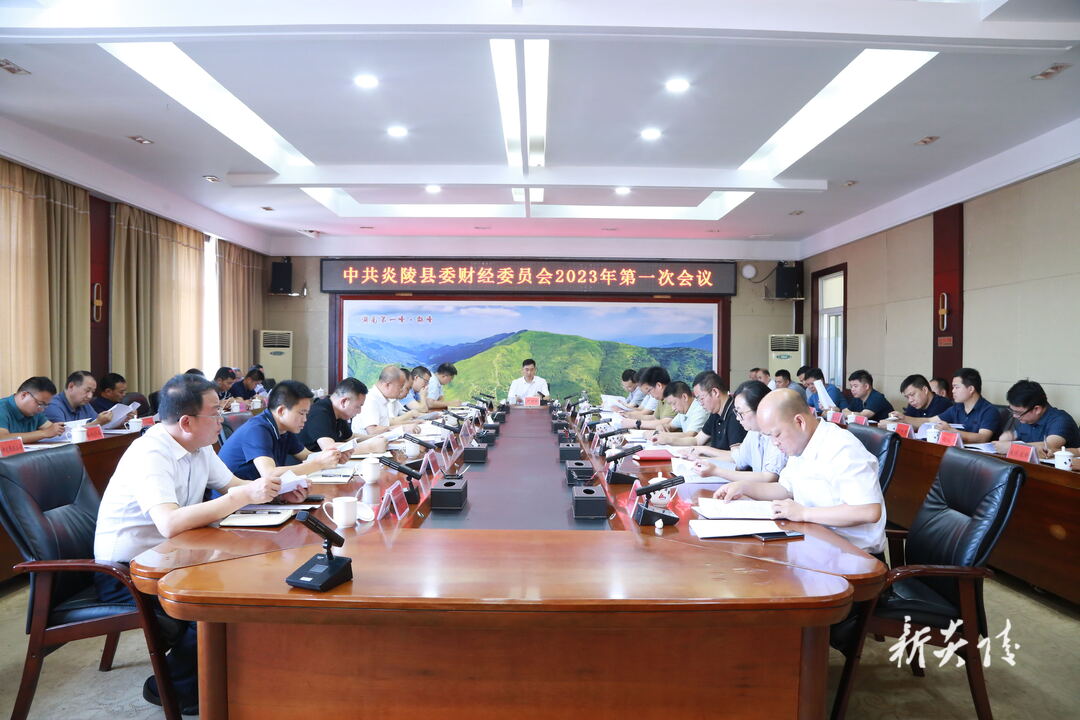 图文|县委财经委员会召开2023年第一次会议
