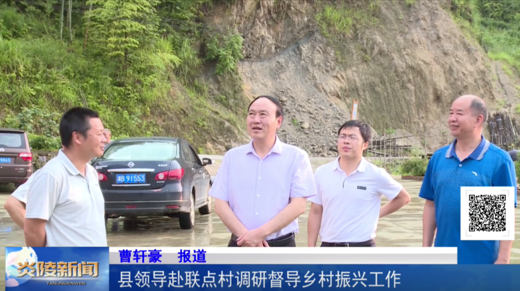 县领导赴联点村调研督导乡村振兴工作