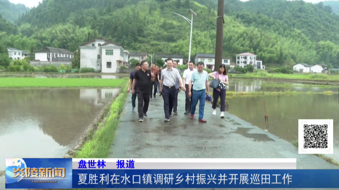 夏胜利在水口镇调研乡村振兴并开展巡田工作