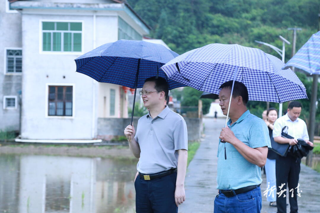 图文|夏胜利在水口镇调研乡村振兴并开展巡田工作