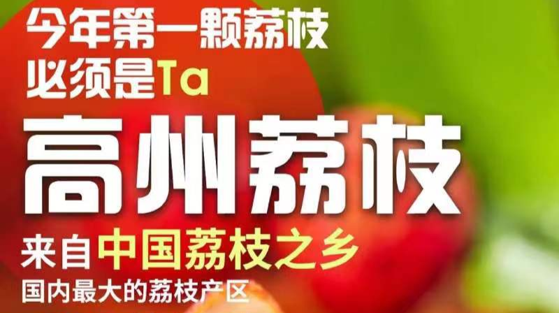 荔枝产地直播高州专场，开卖啦！