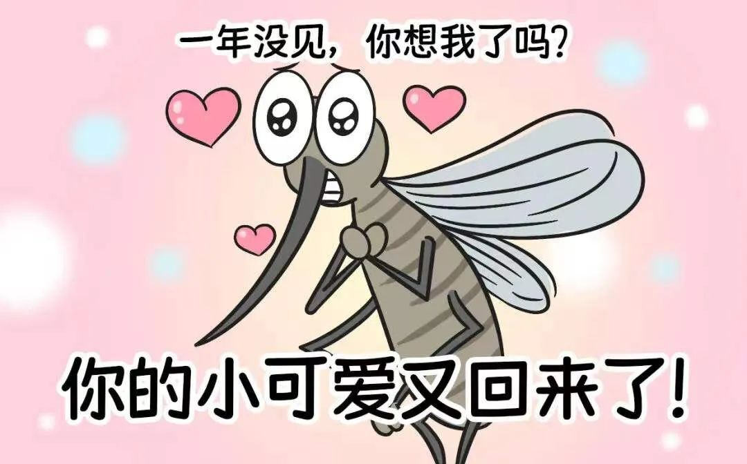 蚊子为啥总叮你？驱蚊妙招学起来！