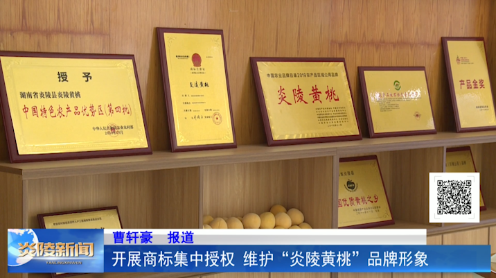 开展商标集中授权 维护“炎陵黄桃”品牌形象