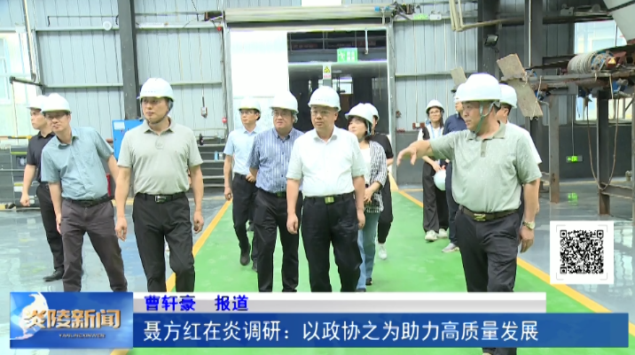 聂方红在炎调研：以政协之为助力高质量发展