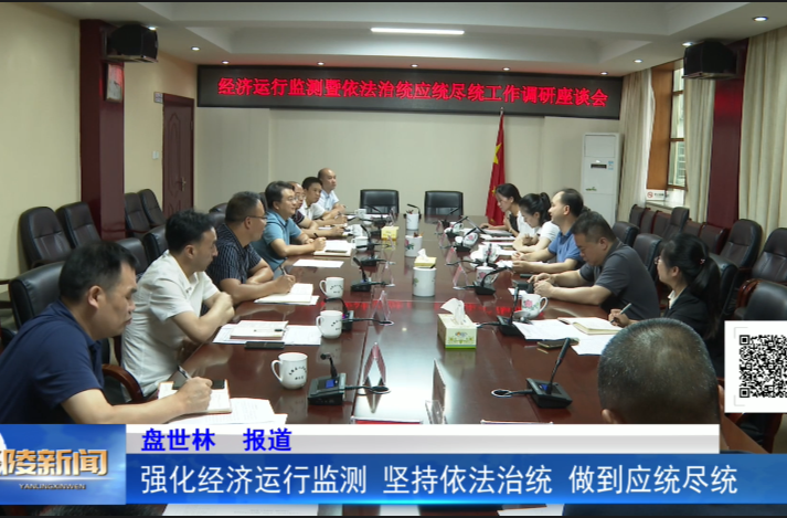 强化经济运行监测 坚持依法治统 做到应统尽统
