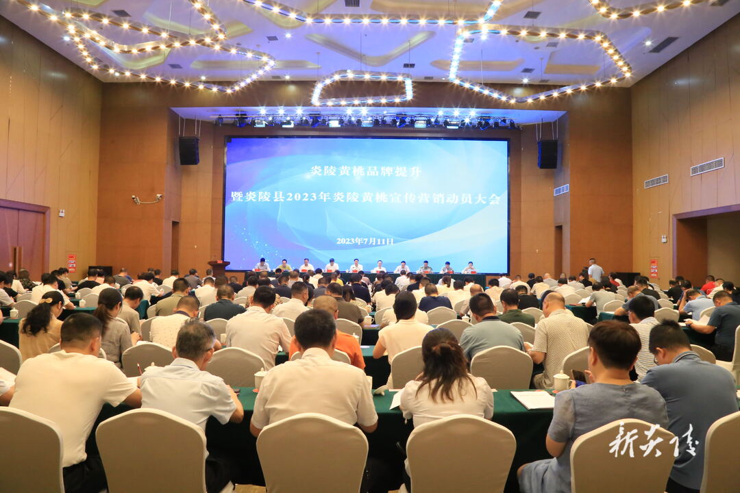 图文|炎陵黄桃品牌提升暨炎陵县2023年炎陵黄桃宣传营销动员大会召开 尹朝晖出席并讲话夏胜利主持