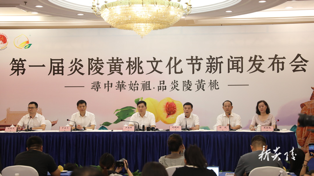 图文|第一届炎陵黄桃文化节新闻发布会在长沙召开