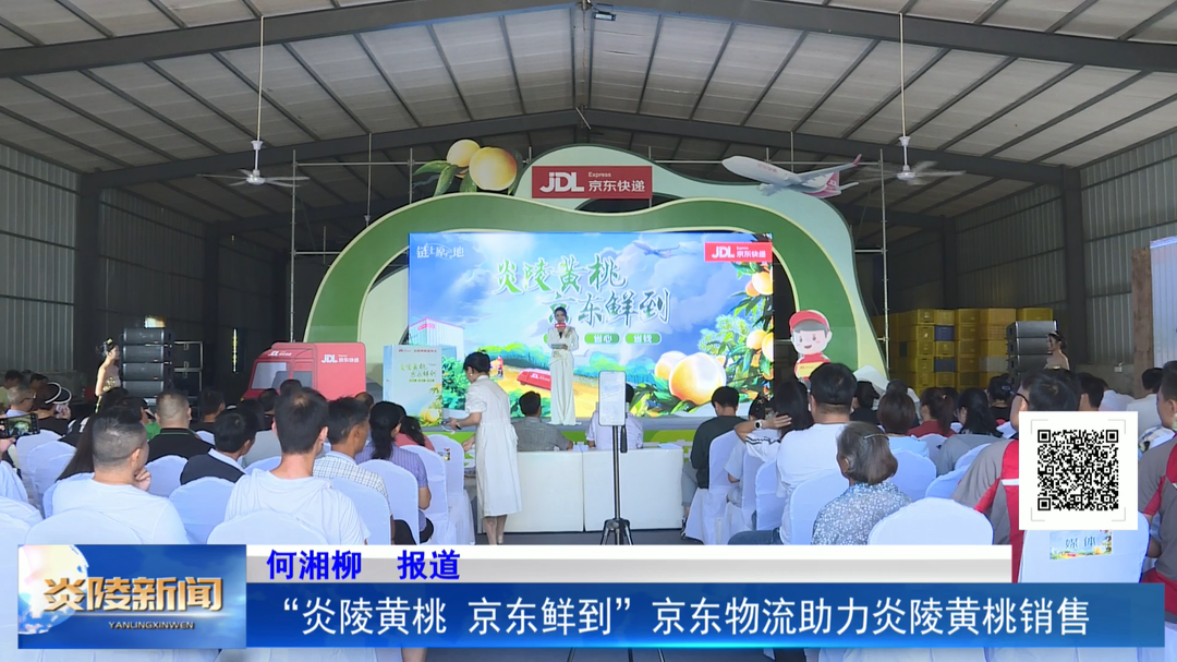“炎陵黄桃 京东鲜到” 京东物流助力炎陵黄桃销售