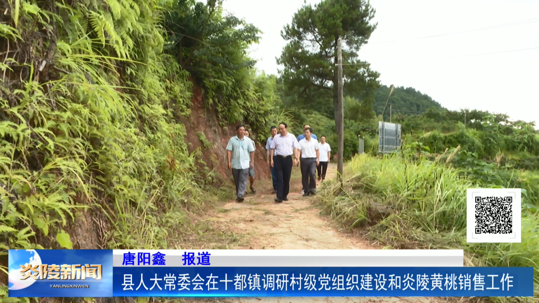 县人大常委会在十都镇调研村级党组织建设和炎陵黄桃销售工作