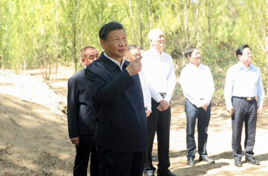 推进中国式现代化丨人与自然和谐共生