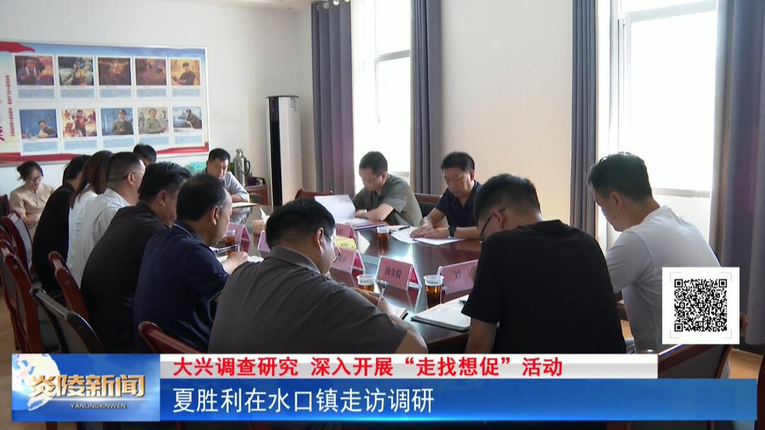 夏胜利在水口镇走访调研