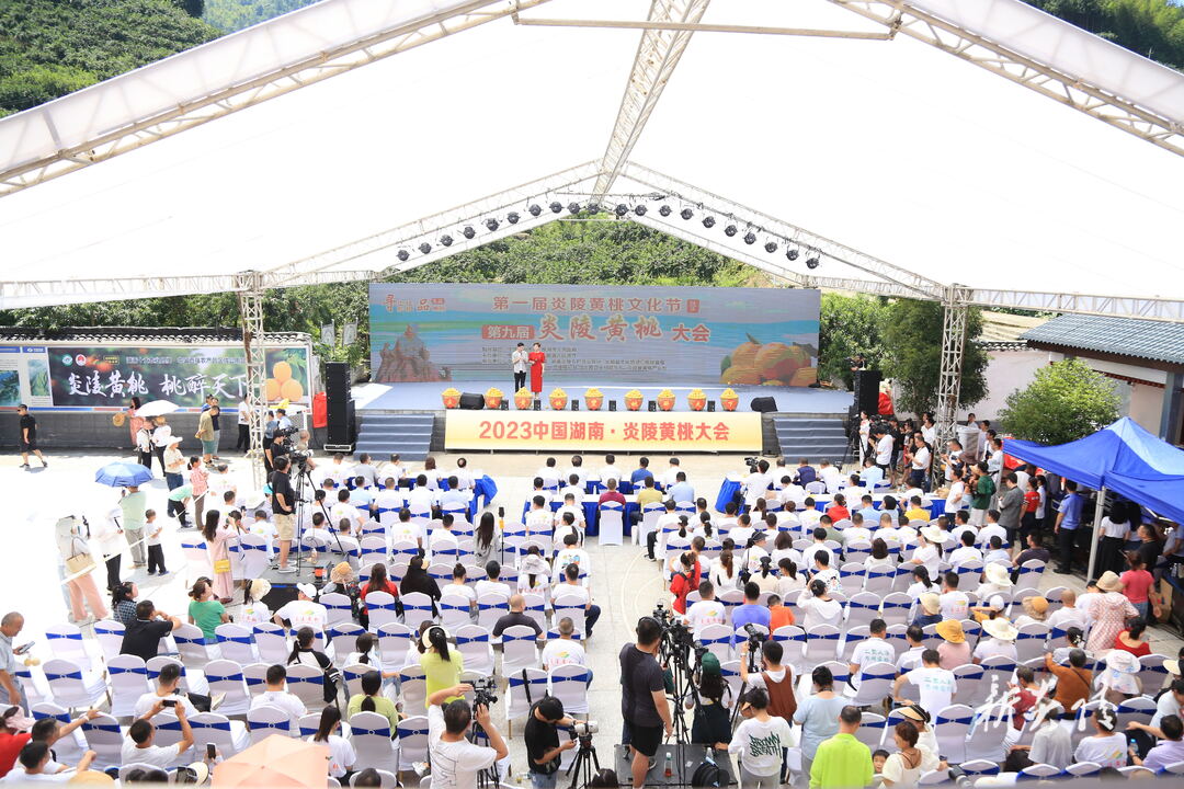 图文|“寻中华始祖 品炎陵黄桃”——第一届炎陵黄桃文化节暨第九届炎陵黄桃大会开幕