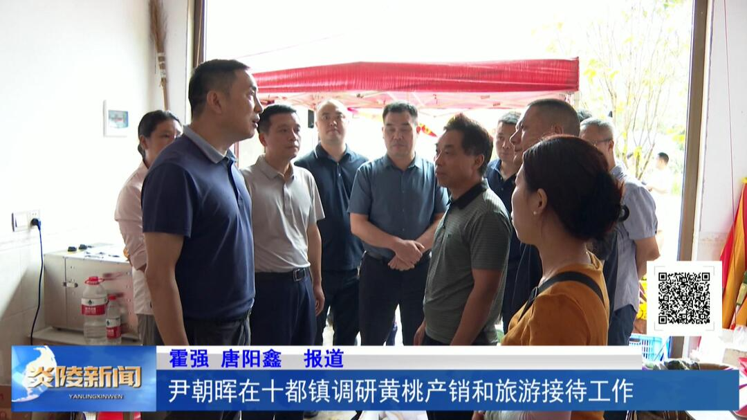 尹朝晖在十都镇调研黄桃产销和旅游接待工作