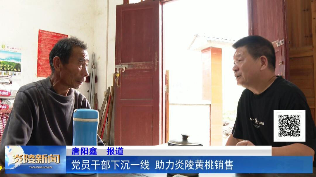 党员干部下沉一线 助力炎陵黄桃销售