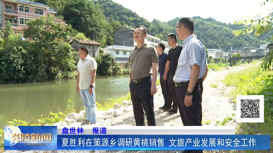 夏胜利在策源乡调研黄桃销售、文旅产业发展和安全工作