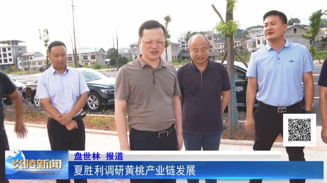 夏胜利调研黄桃产业链发展