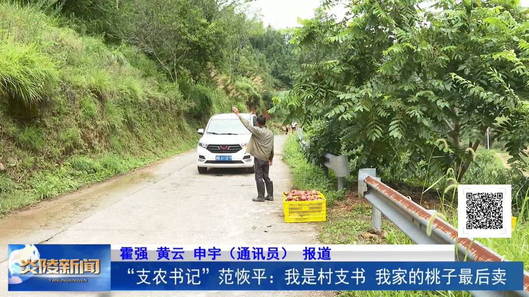 “支农书记”范恢平：我是村支书，我家的桃子最后卖