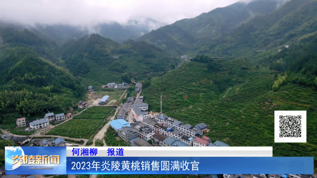 2023年炎陵黄桃销售圆满收官