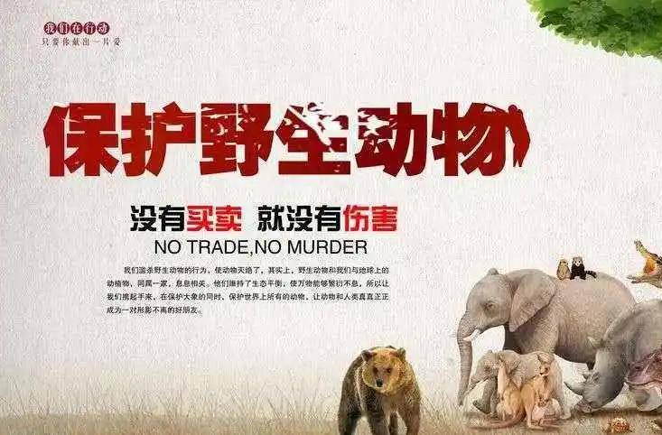 关于进一步加强野生动物保护的令（林长令1号）