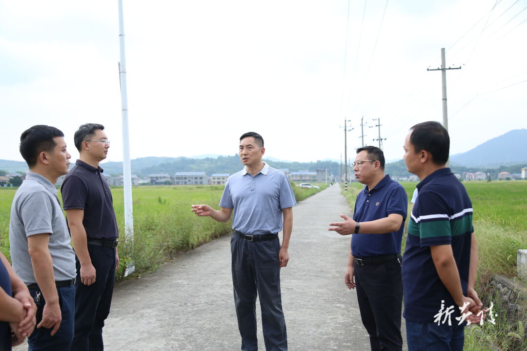 图文|尹朝晖在乡镇调研时强调：探索建立田长、河湖长、林长等“多长合一”和协同共治的工作机制 提升乡村治理效能
