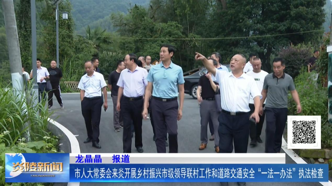 市人大常委会来炎开展乡村振兴市级领导联村工作和道路交通安全“一法一办法”执法检查