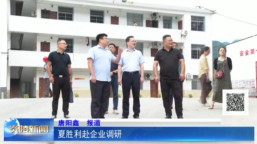 夏胜利赴企业调研