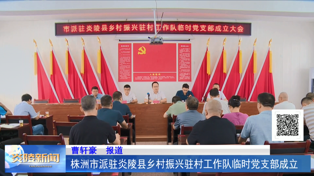 株洲市派驻炎陵县乡村振兴驻村工作队临时党支部成立