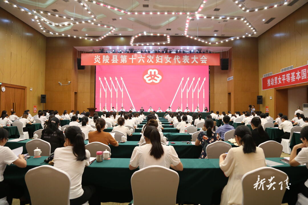 图文|炎陵县召开第十六次妇女代表大会 尹朝晖夏胜利朱新艳出席