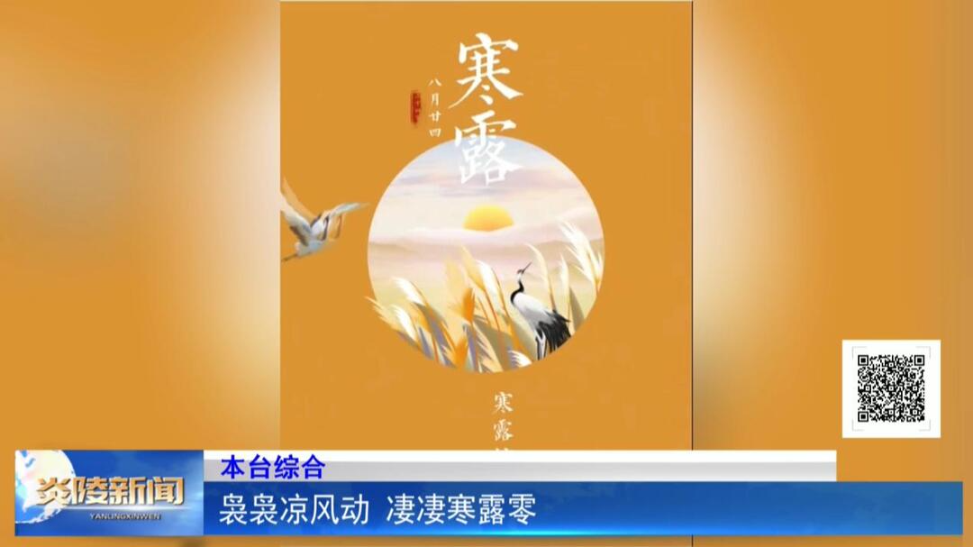 袅袅凉风动 凄凄寒露零