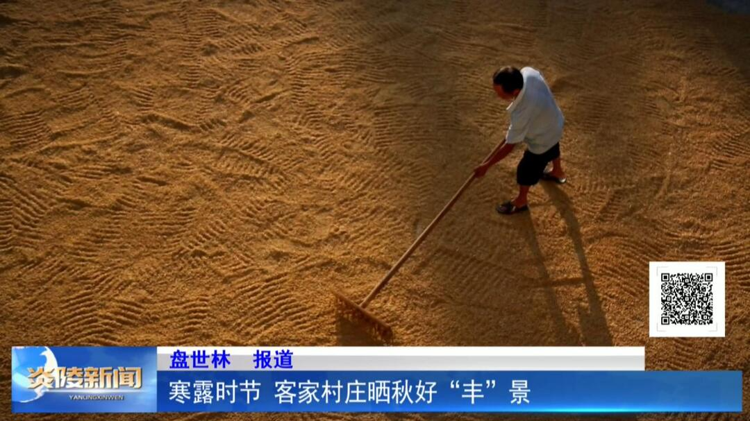 寒露时节 客家村庄晒秋好“丰”景