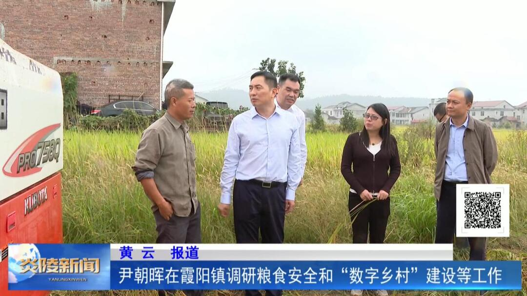 尹朝晖在霞阳镇调研粮食安全和“数字乡村”建设等工作