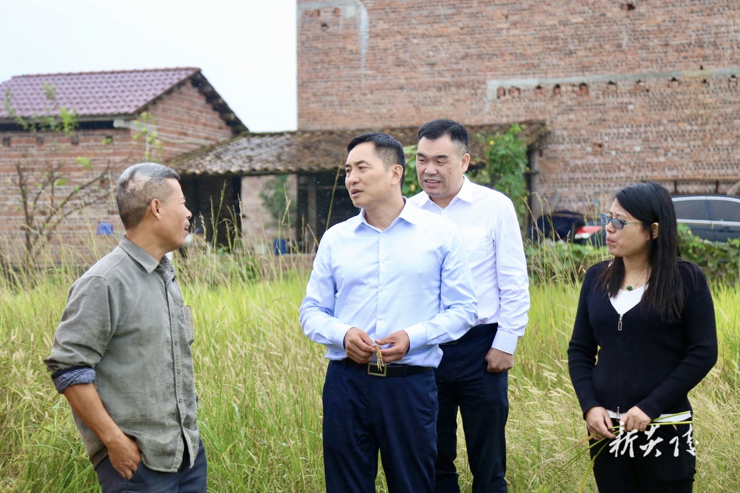 图文|尹朝晖在霞阳镇调研粮食安全和“数字乡村”建设等工作